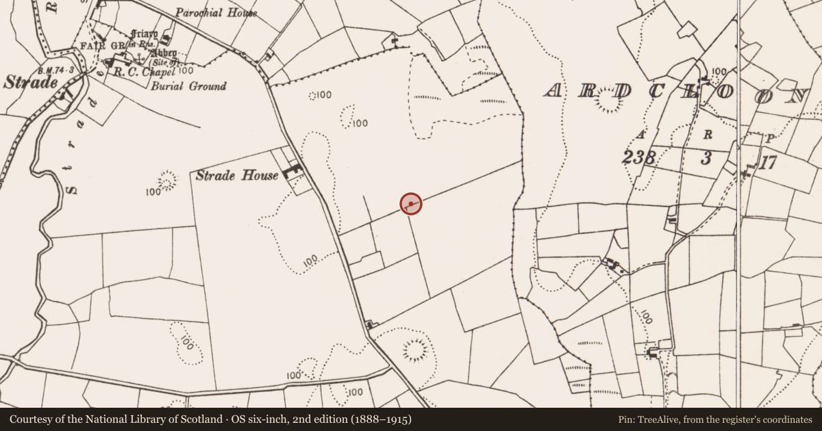 Ordnance Survey six-inch map, 2nd edition (1888–1915) covering the location of Enclosure, Strade, County Mayo, with a pin at the register's coordinates