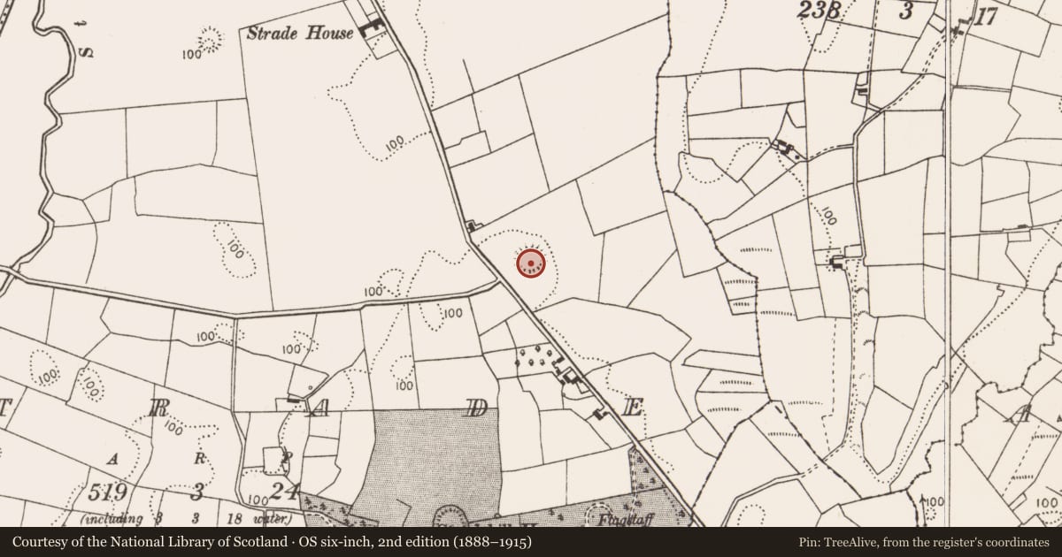 Ordnance Survey six-inch map, 2nd edition (1888–1915) covering the location of Ringfort - rath, Strade, County Mayo, with a pin at the register's coordinates