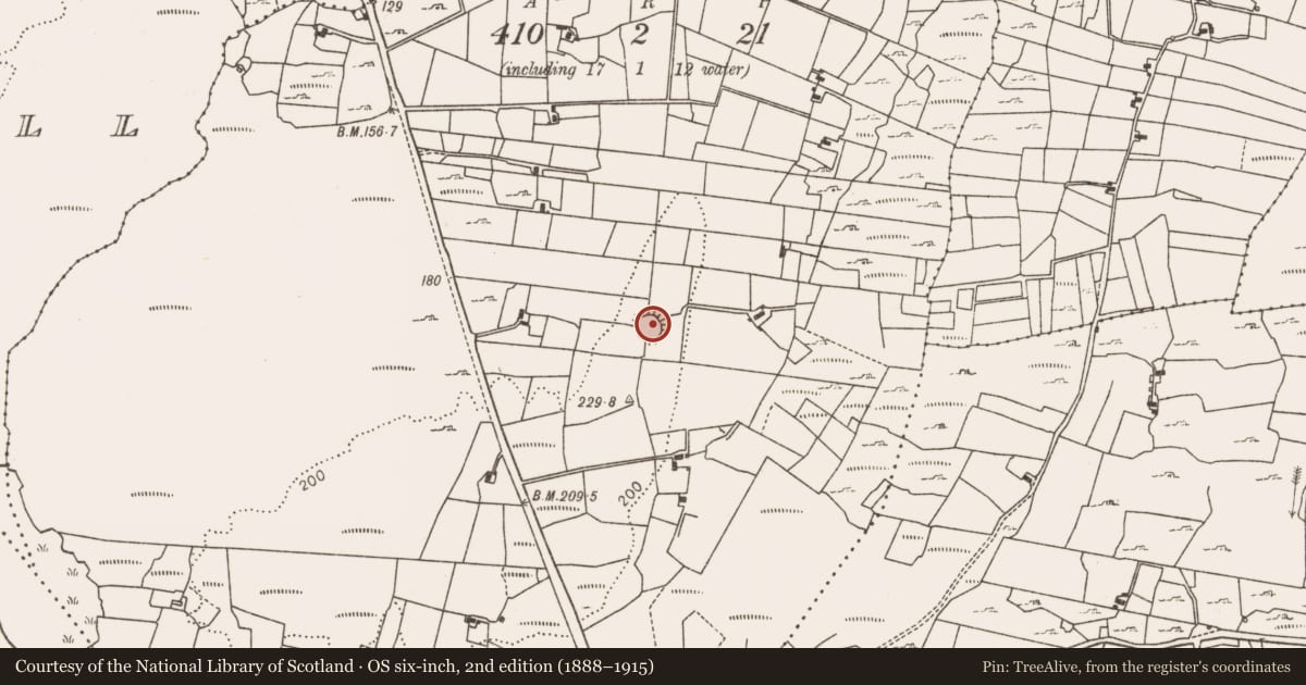 Ordnance Survey six-inch map, 2nd edition (1888–1915) covering the location of Ringfort - rath, Cloontubbrid, County Mayo, with a pin at the register's coordinates