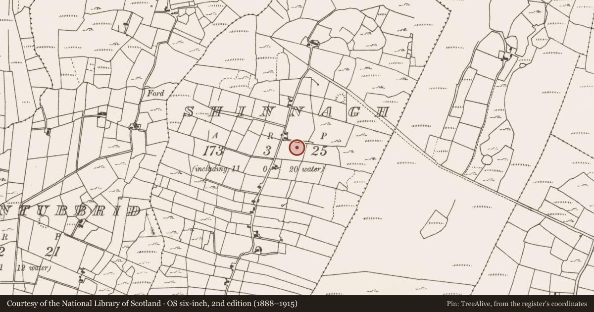 Ordnance Survey six-inch map, 2nd edition (1888–1915) covering the location of Fulacht fia, Shinnagh, County Mayo, with a pin at the register's coordinates