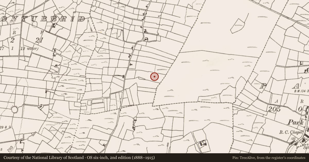 Ordnance Survey six-inch map, 2nd edition (1888–1915) covering the location of Fulacht fia, Shinnagh, County Mayo, with a pin at the register's coordinates