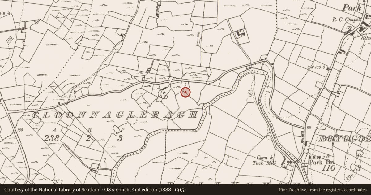 Ordnance Survey six-inch map, 2nd edition (1888–1915) covering the location of Fulacht fia, Cloonnagleragh, County Mayo, with a pin at the register's coordinates