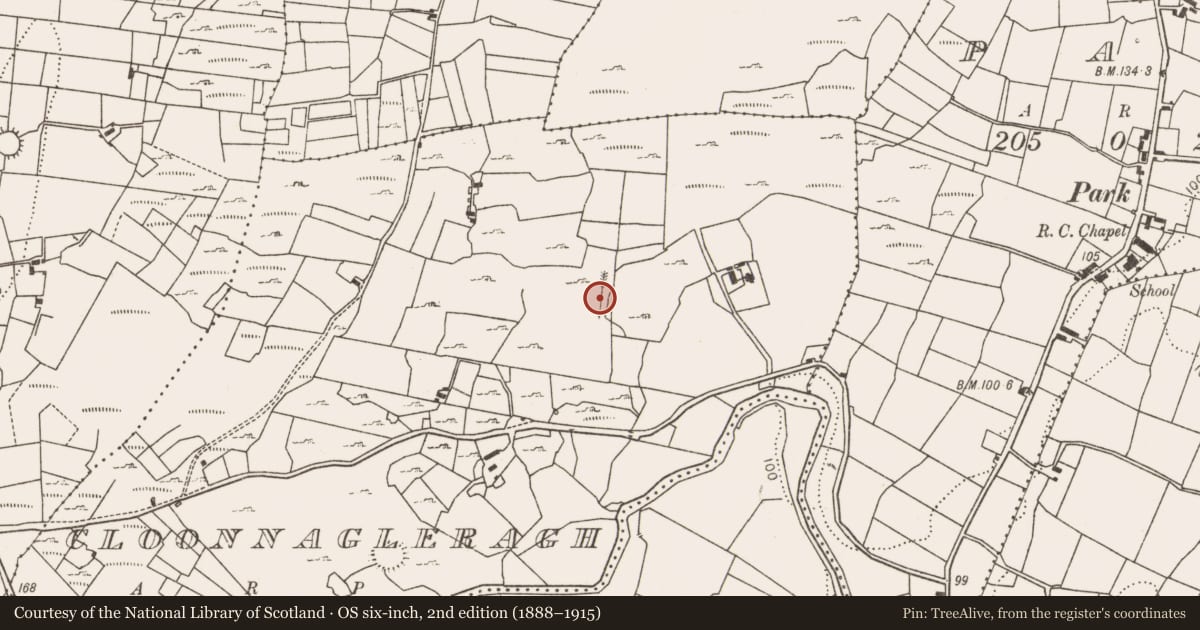 Ordnance Survey six-inch map, 2nd edition (1888–1915) covering the location of Fulacht fia, Cloonnagleragh, County Mayo, with a pin at the register's coordinates