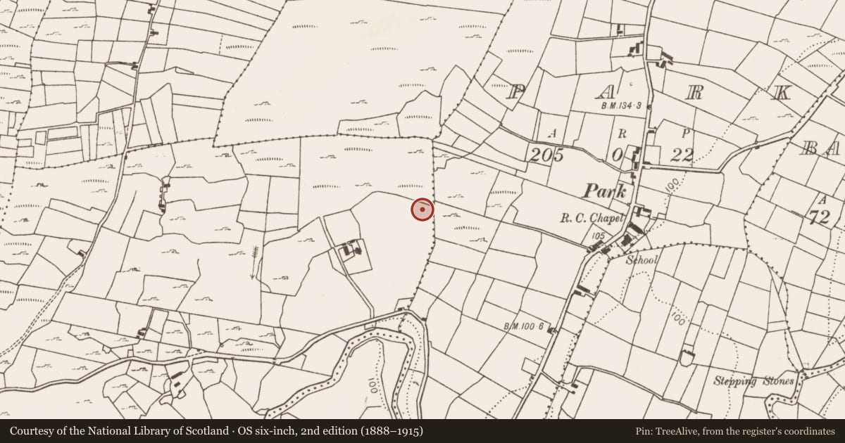 Ordnance Survey six-inch map, 2nd edition (1888–1915) covering the location of Fulacht fia, Cloonnagleragh, County Mayo, with a pin at the register's coordinates