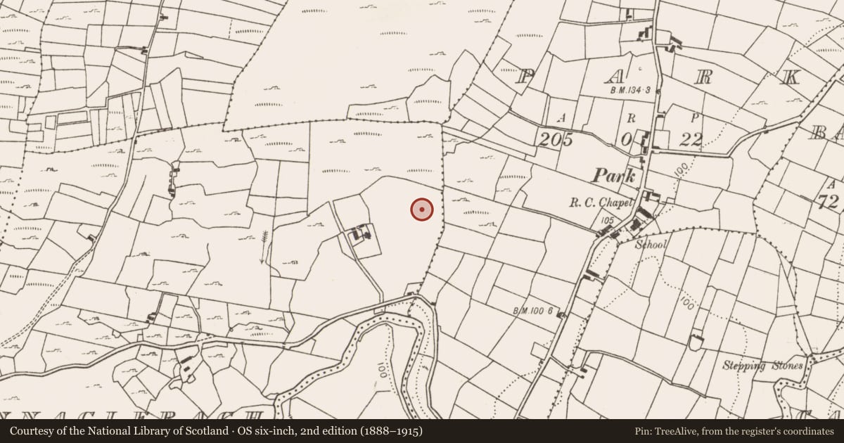 Ordnance Survey six-inch map, 2nd edition (1888–1915) covering the location of Fulacht fia, Cloonnagleragh, County Mayo, with a pin at the register's coordinates