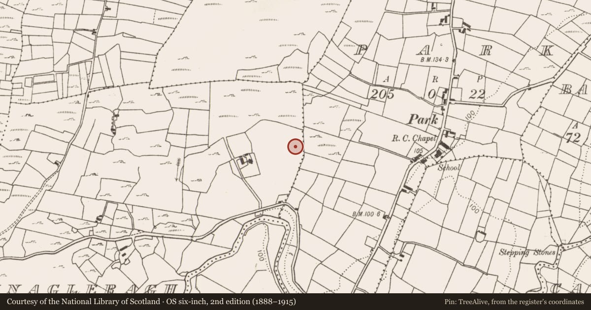 Ordnance Survey six-inch map, 2nd edition (1888–1915) covering the location of Fulacht fia, Cloonnagleragh, County Mayo, with a pin at the register's coordinates