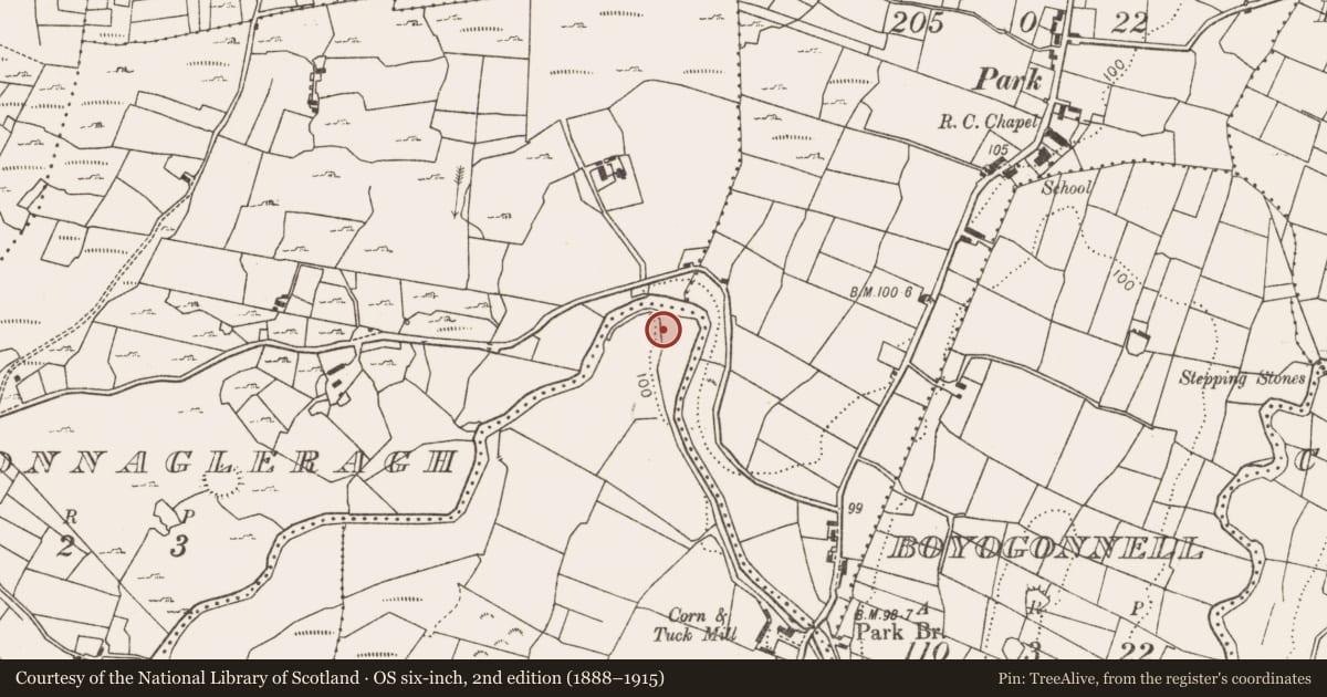 Ordnance Survey six-inch map, 2nd edition (1888–1915) covering the location of Water mill - unclassified, Ballyguin, County Mayo, with a pin at the register's coordinates