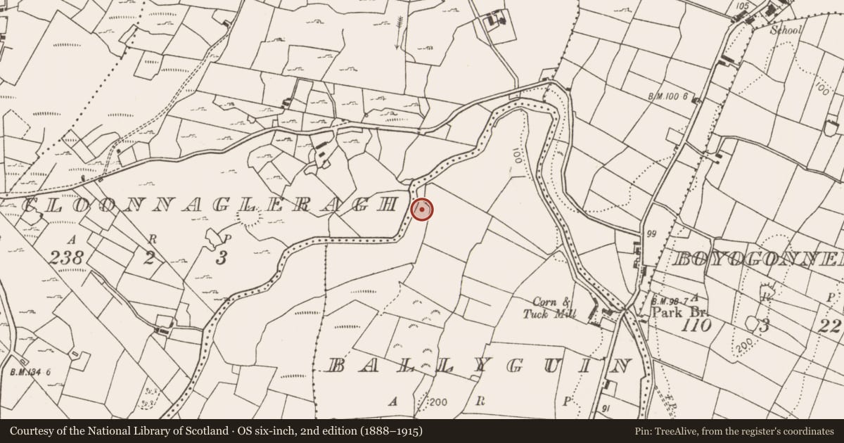 Ordnance Survey six-inch map, 2nd edition (1888–1915) covering the location of Fulacht fia, Ballyguin, County Mayo, with a pin at the register's coordinates