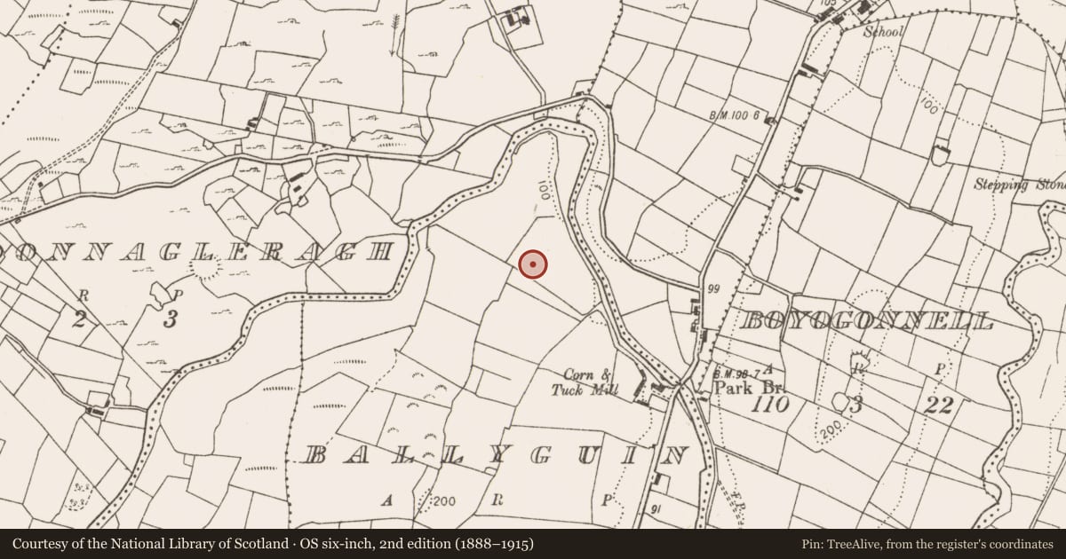 Ordnance Survey six-inch map, 2nd edition (1888–1915) covering the location of Ringfort - unclassified, Ballyguin, County Mayo, with a pin at the register's coordinates
