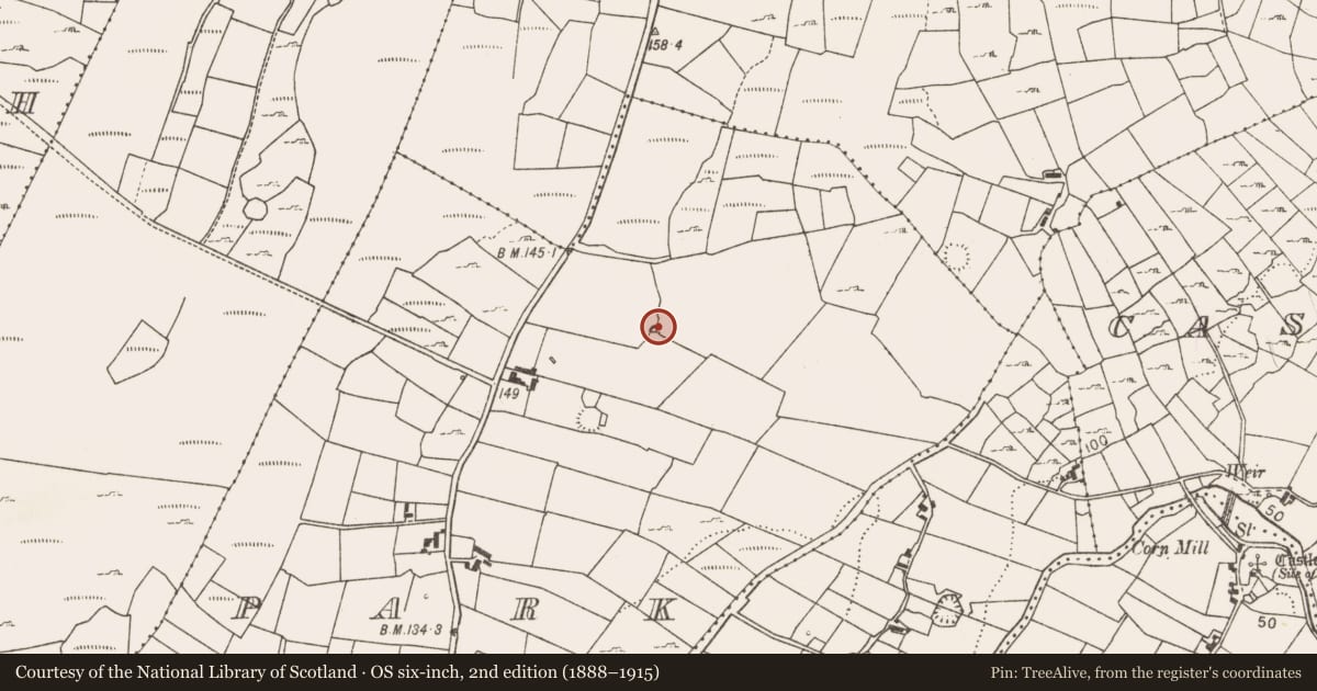 Ordnance Survey six-inch map, 2nd edition (1888–1915) covering the location of Fulacht fia, Park, County Mayo, with a pin at the register's coordinates