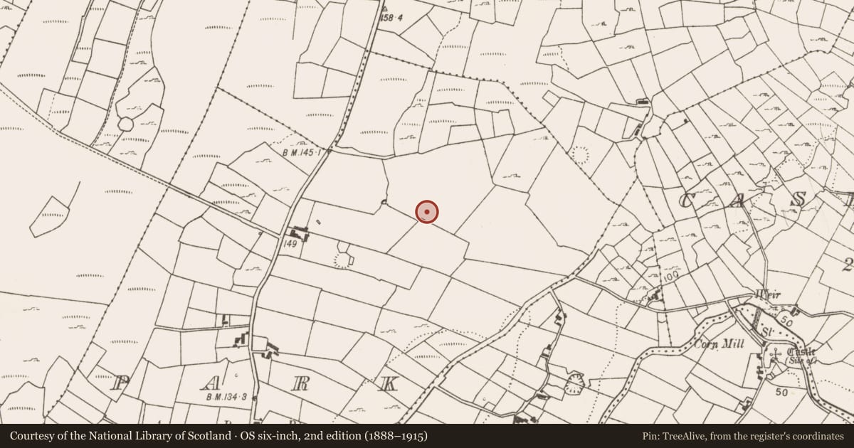 Ordnance Survey six-inch map, 2nd edition (1888–1915) covering the location of Fulacht fia, Park, County Mayo, with a pin at the register's coordinates