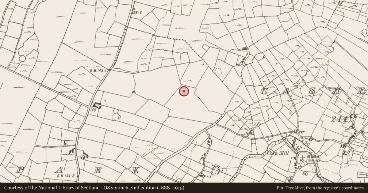 Ordnance Survey six-inch map, 2nd edition (1888–1915) covering the location of Fulacht fia, Park, County Mayo, with a pin at the register's coordinates