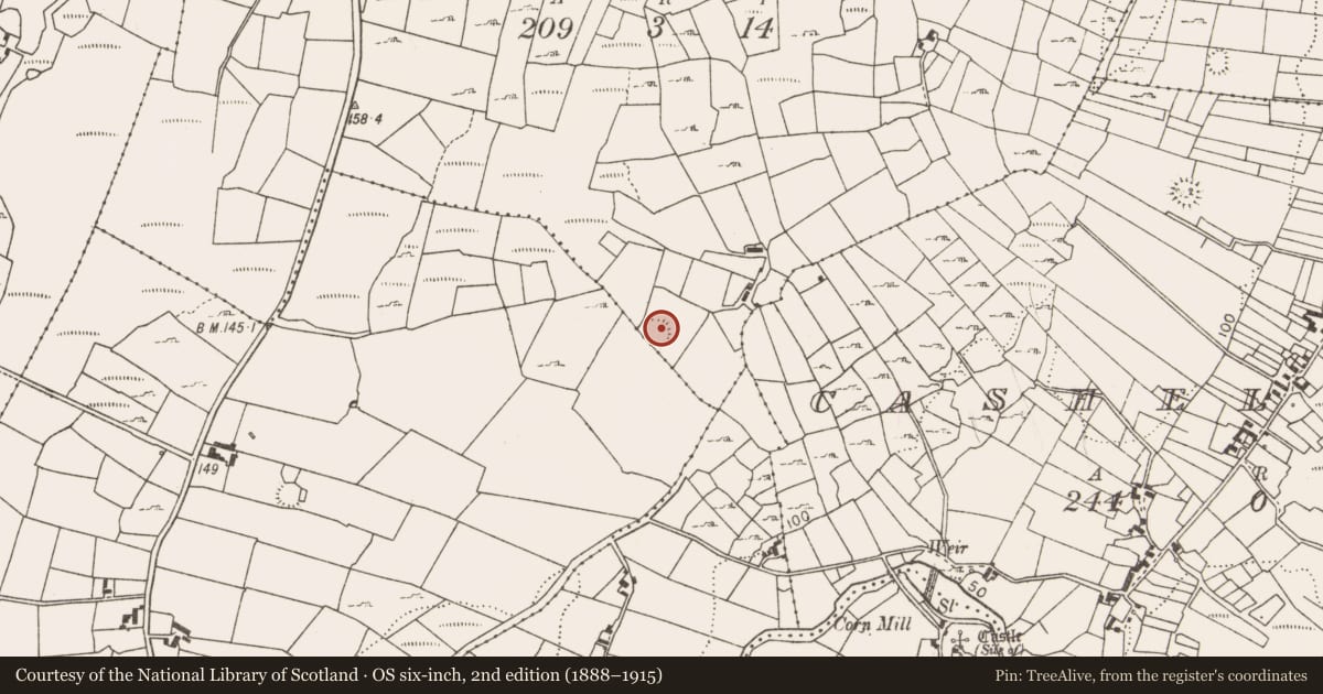 Ordnance Survey six-inch map, 2nd edition (1888–1915) covering the location of Ringfort - rath, Lack West, County Mayo, with a pin at the register's coordinates