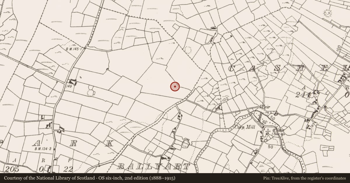 Ordnance Survey six-inch map, 2nd edition (1888–1915) covering the location of Fulacht fia, Park, County Mayo, with a pin at the register's coordinates