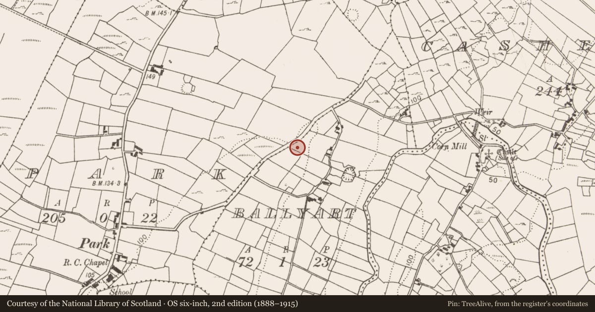 Ordnance Survey six-inch map, 2nd edition (1888–1915) covering the location of Fulacht fia, Ballyart, County Mayo, with a pin at the register's coordinates