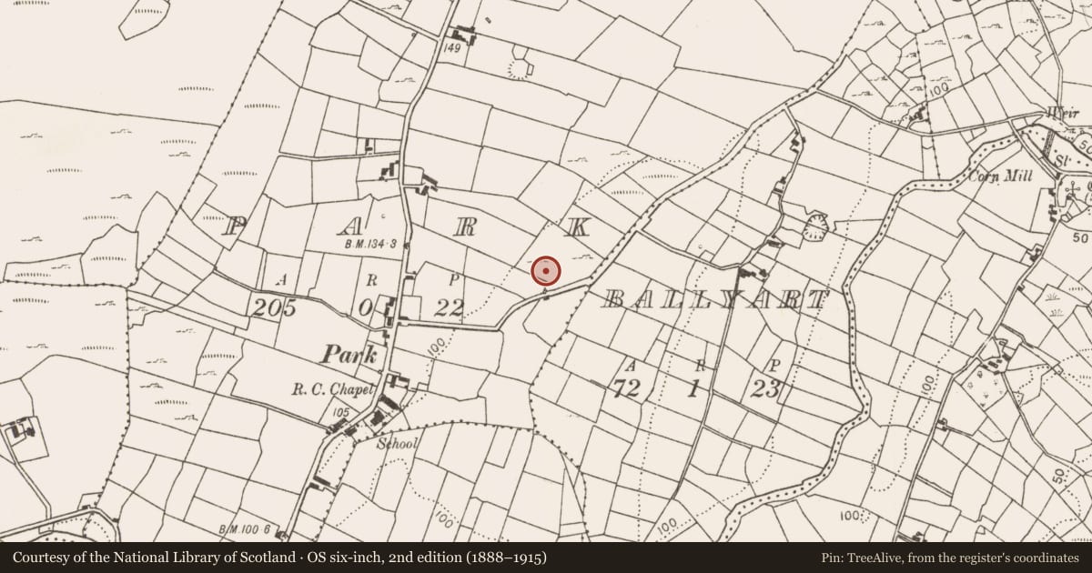 Ordnance Survey six-inch map, 2nd edition (1888–1915) covering the location of Fulacht fia, Park, County Mayo, with a pin at the register's coordinates