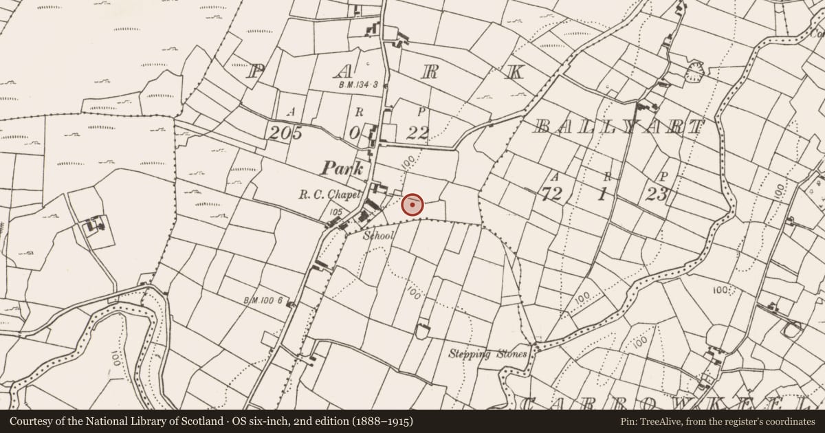Ordnance Survey six-inch map, 2nd edition (1888–1915) covering the location of Fulacht fia, Park, County Mayo, with a pin at the register's coordinates