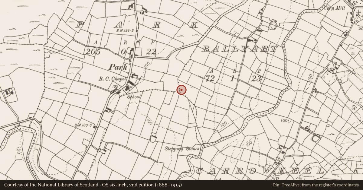 Ordnance Survey six-inch map, 2nd edition (1888–1915) covering the location of Fulacht fia, Ballyart, County Mayo, with a pin at the register's coordinates