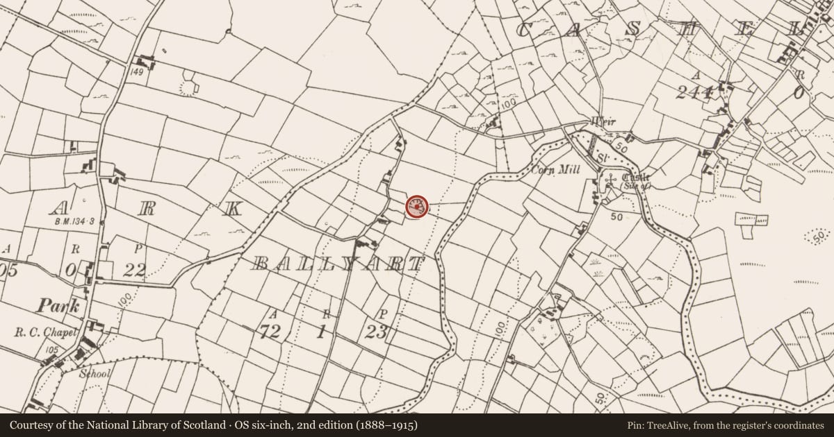 Ordnance Survey six-inch map, 2nd edition (1888–1915) covering the location of Ringfort - rath, Ballyart, County Mayo, with a pin at the register's coordinates