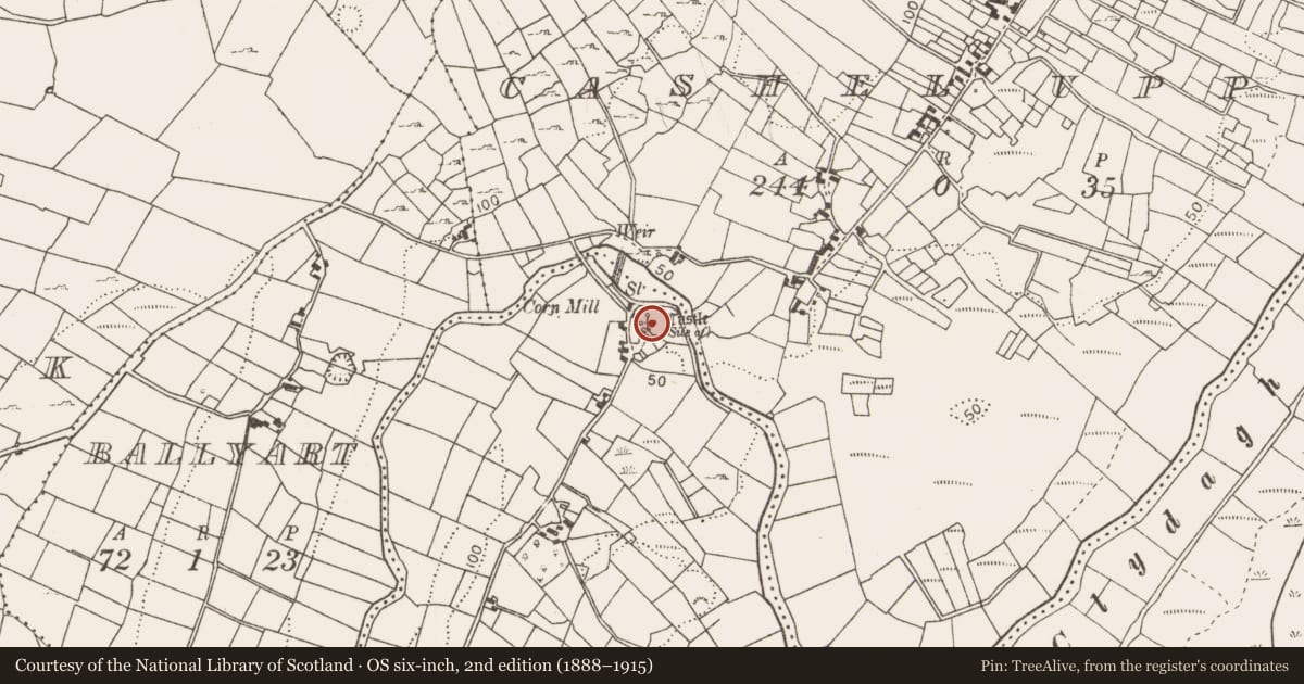 Ordnance Survey six-inch map, 2nd edition (1888–1915) covering the location of Castle - unclassified, Carrowkeel (Carra By., Turlough Par.), County Mayo, with a pin at the register's coordinates