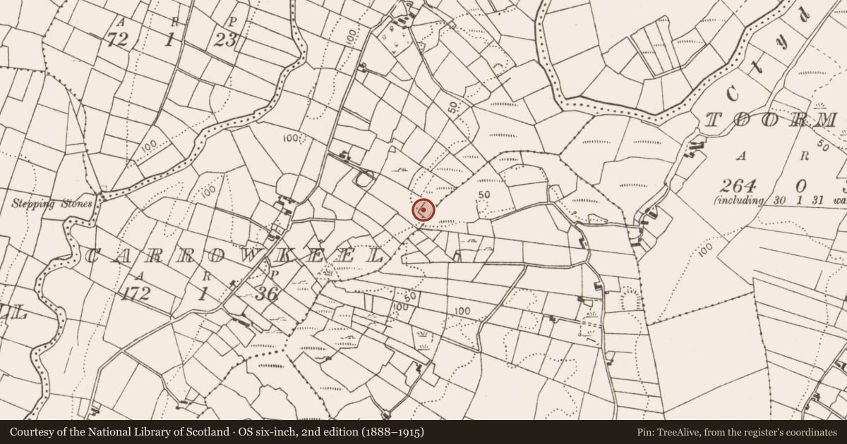 Ordnance Survey six-inch map, 2nd edition (1888–1915) covering the location of Fulacht fia, Carrowkeel (Carra By., Turlough Par.), County Mayo, with a pin at the register's coordinates