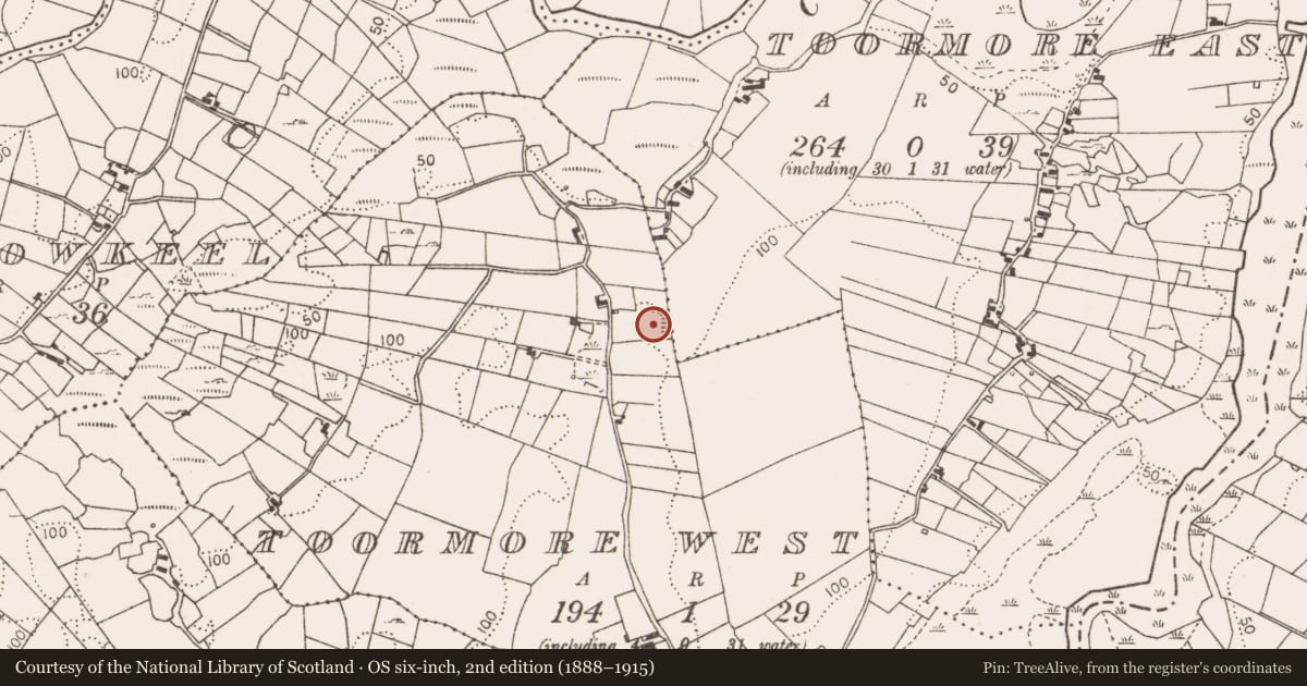 Ordnance Survey six-inch map, 2nd edition (1888–1915) covering the location of Ringfort - rath, Toormore West, County Mayo, with a pin at the register's coordinates