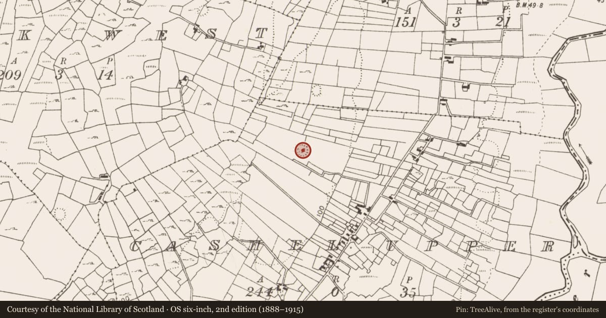 Ordnance Survey six-inch map, 2nd edition (1888–1915) covering the location of Ringfort - rath, Cashel Upper, County Mayo, with a pin at the register's coordinates