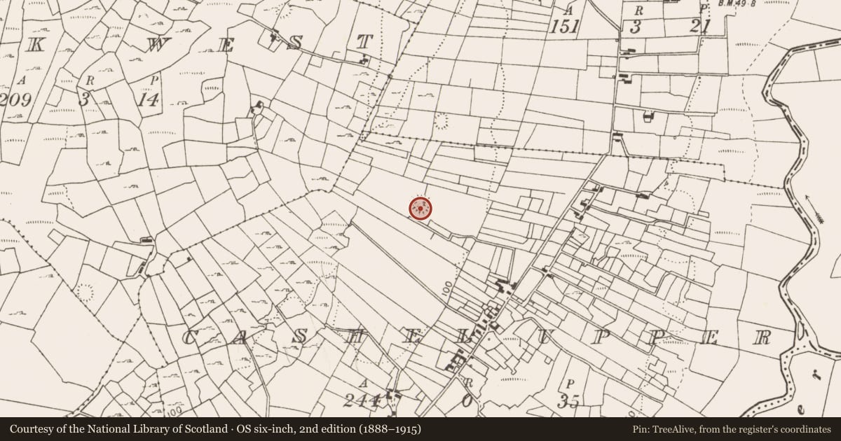 Ordnance Survey six-inch map, 2nd edition (1888–1915) covering the location of Souterrain, Cashel Upper, County Mayo, with a pin at the register's coordinates