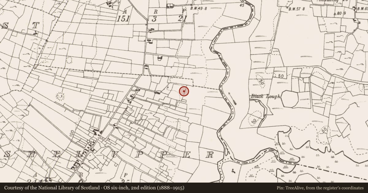 Ordnance Survey six-inch map, 2nd edition (1888–1915) covering the location of Fulacht fia, Cashel Upper, County Mayo, with a pin at the register's coordinates