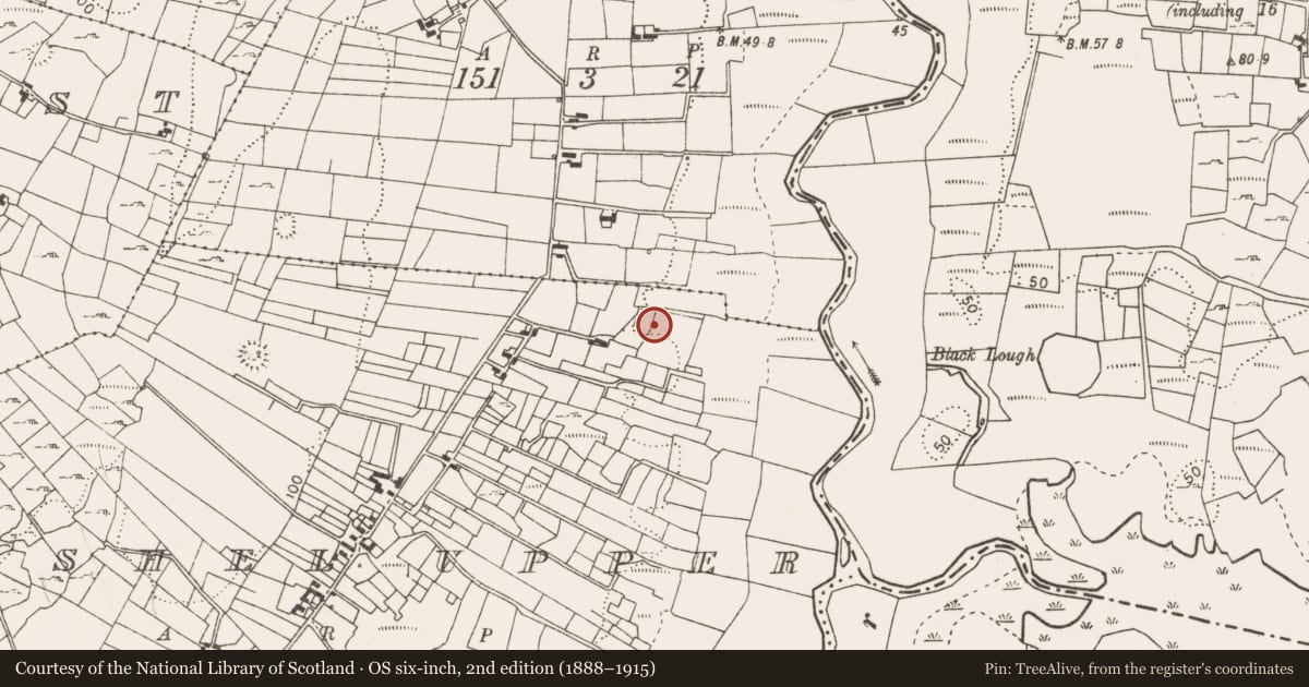 Ordnance Survey six-inch map, 2nd edition (1888–1915) covering the location of Fulacht fia, Cashel Upper, County Mayo, with a pin at the register's coordinates