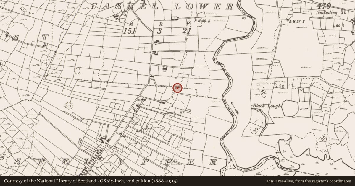 Ordnance Survey six-inch map, 2nd edition (1888–1915) covering the location of Burnt spread, Cashel Upper, County Mayo, with a pin at the register's coordinates