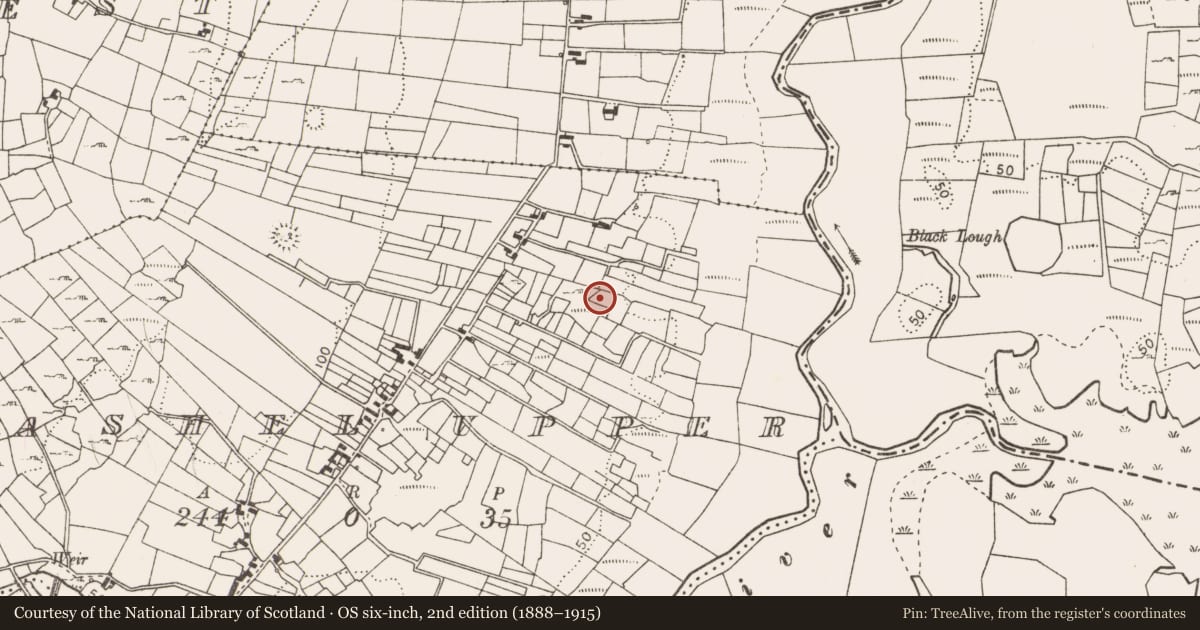 Ordnance Survey six-inch map, 2nd edition (1888–1915) covering the location of Fulacht fia, Cashel Upper, County Mayo, with a pin at the register's coordinates