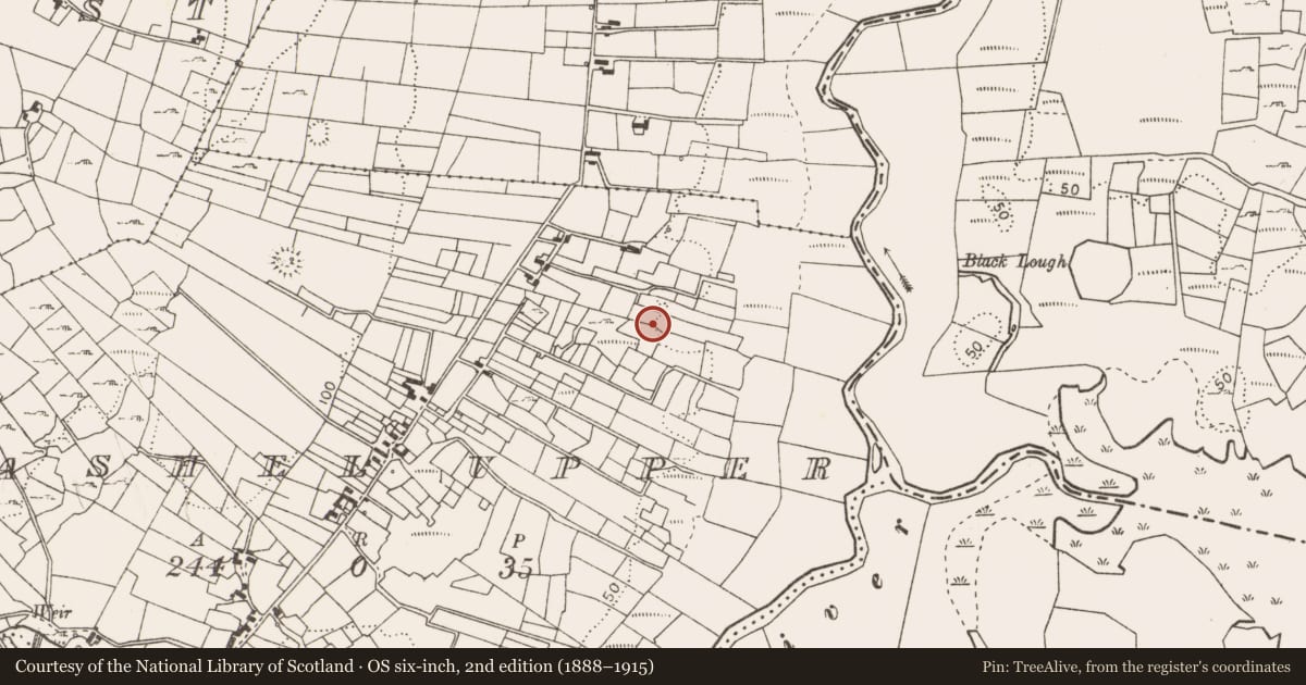 Ordnance Survey six-inch map, 2nd edition (1888–1915) covering the location of Fulacht fia, Cashel Upper, County Mayo, with a pin at the register's coordinates