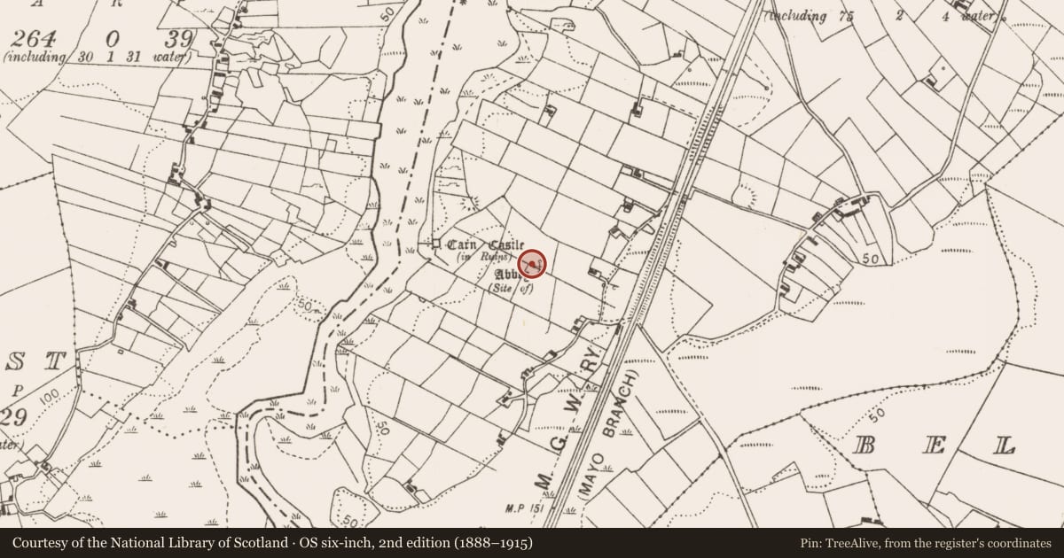 Ordnance Survey six-inch map, 2nd edition (1888–1915) covering the location of Children's burial ground, Corraun, County Mayo, with a pin at the register's coordinates