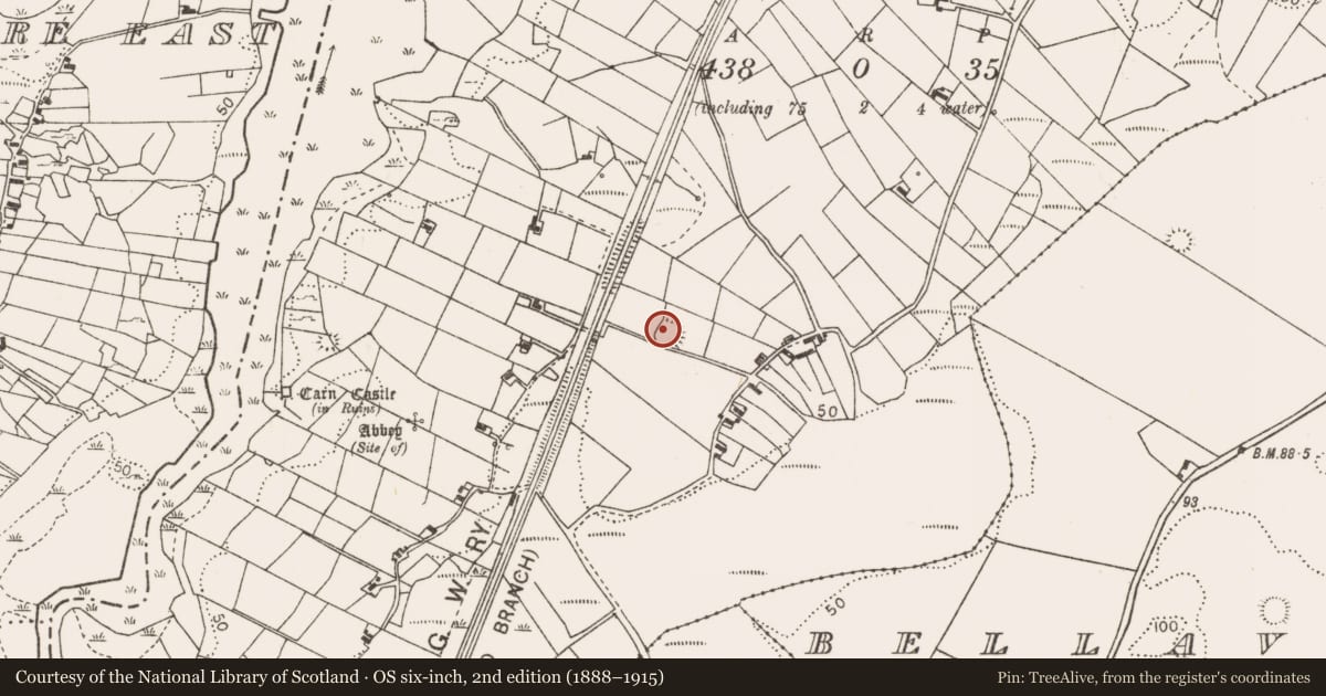 Ordnance Survey six-inch map, 2nd edition (1888–1915) covering the location of Ringfort - unclassified, Corraun, County Mayo, with a pin at the register's coordinates