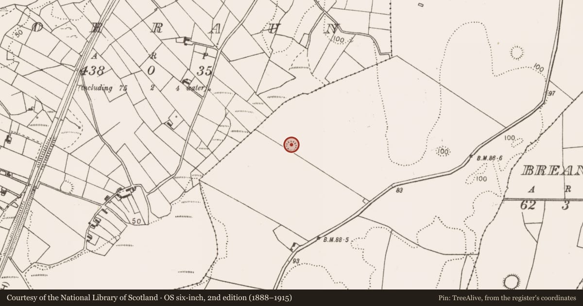 Ordnance Survey six-inch map, 2nd edition (1888–1915) covering the location of Ringfort - unclassified, Bellavary, County Mayo, with a pin at the register's coordinates