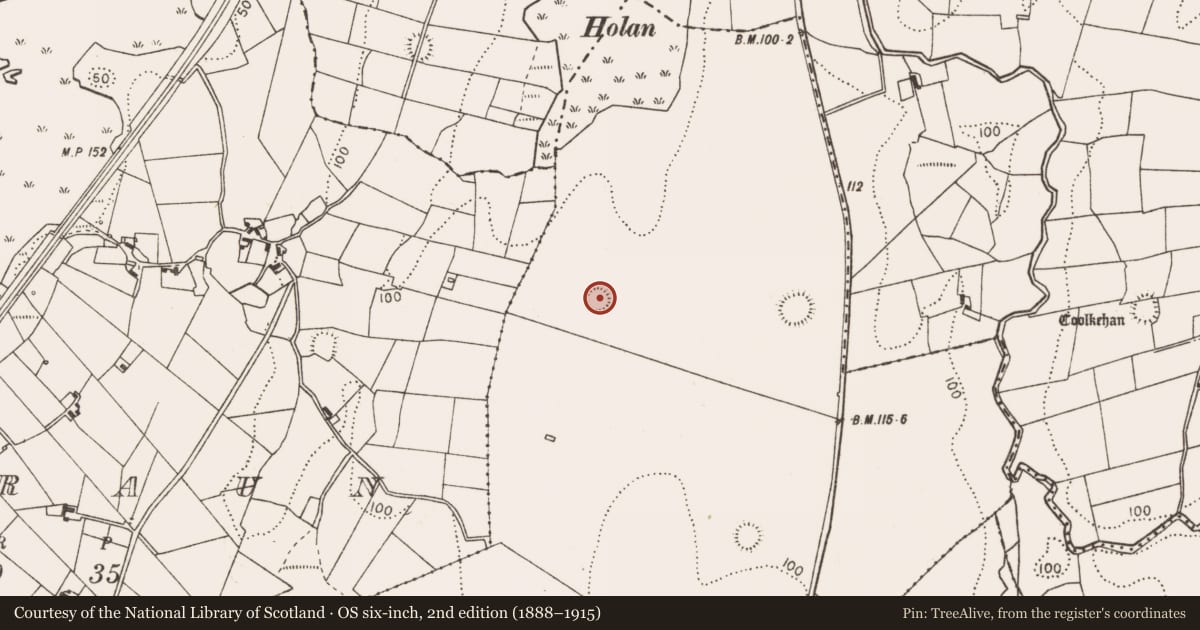 Ordnance Survey six-inch map, 2nd edition (1888–1915) covering the location of Ringfort - rath, Bellavary, County Mayo, with a pin at the register's coordinates