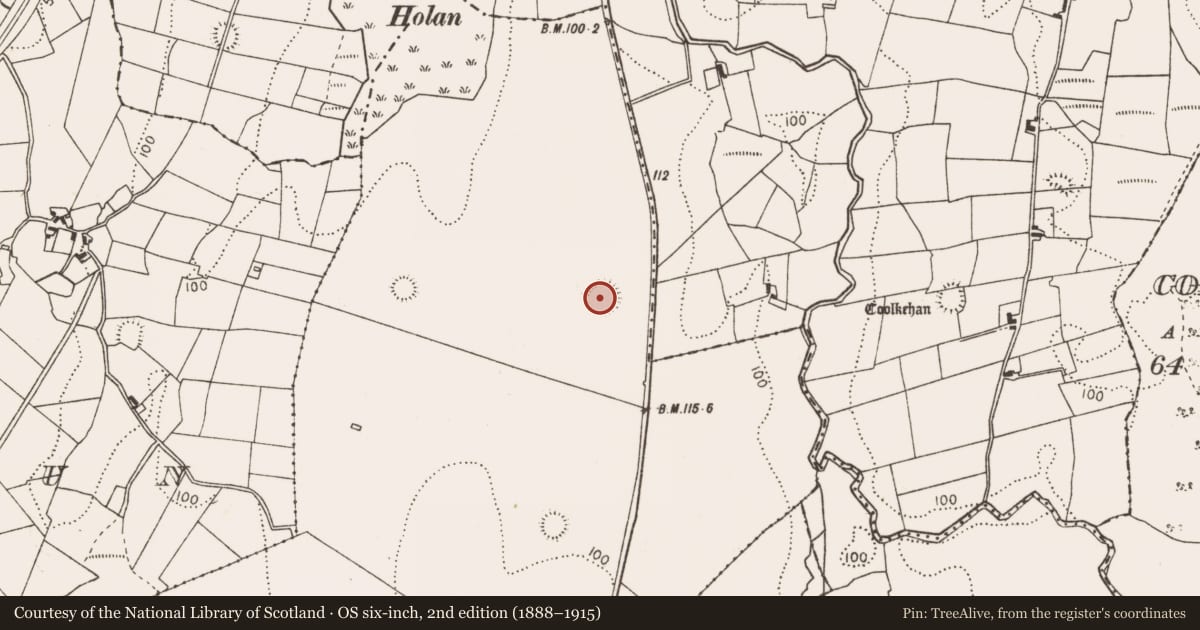 Ordnance Survey six-inch map, 2nd edition (1888–1915) covering the location of Ringfort - rath, Bellavary, County Mayo, with a pin at the register's coordinates