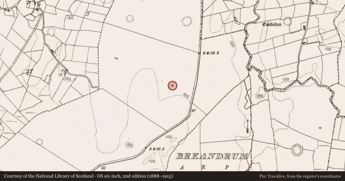 Ordnance Survey six-inch map, 2nd edition (1888–1915) covering the location of Ringfort - rath, Bellavary, County Mayo, with a pin at the register's coordinates