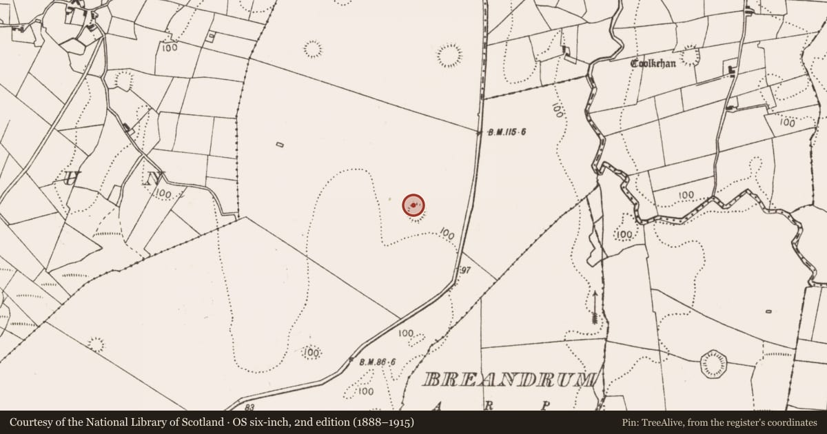 Ordnance Survey six-inch map, 2nd edition (1888–1915) covering the location of Souterrain, Bellavary, County Mayo, with a pin at the register's coordinates