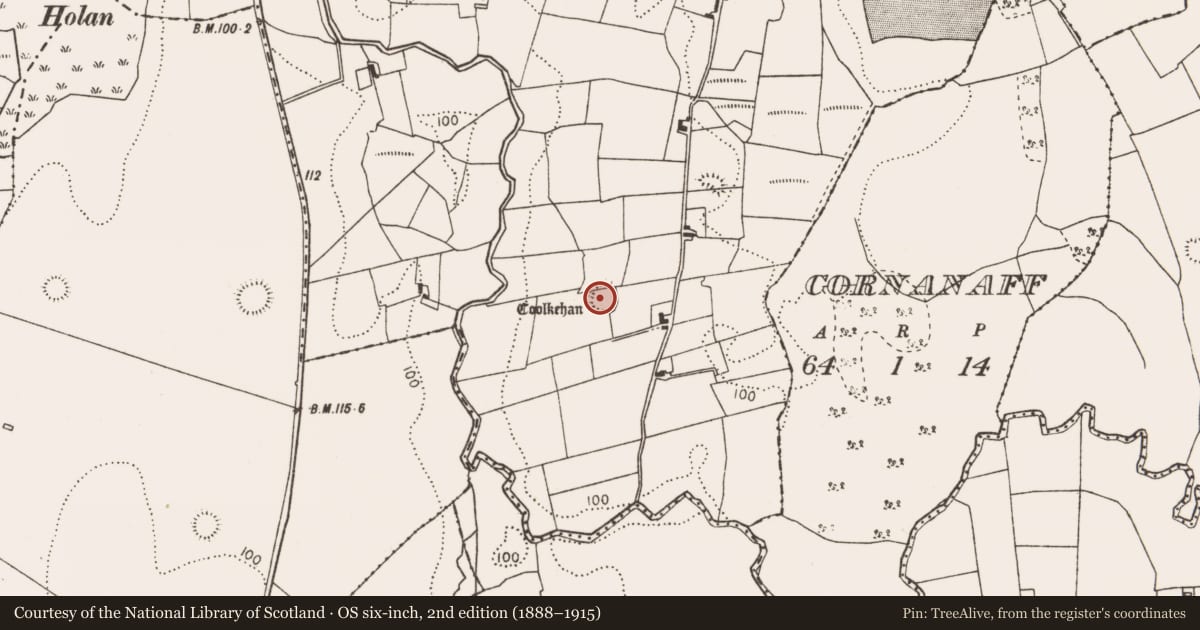 Ordnance Survey six-inch map, 2nd edition (1888–1915) covering the location of Ringfort - rath, Strade, County Mayo, with a pin at the register's coordinates