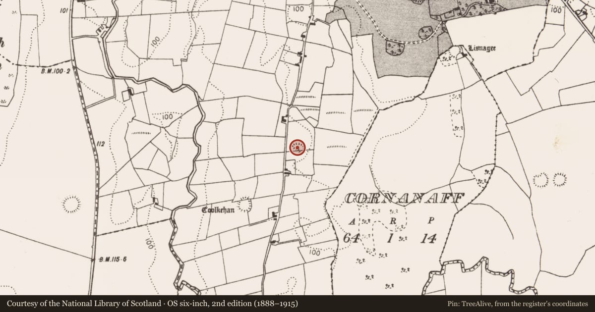 Ordnance Survey six-inch map, 2nd edition (1888–1915) covering the location of Ringfort - rath, Strade, County Mayo, with a pin at the register's coordinates