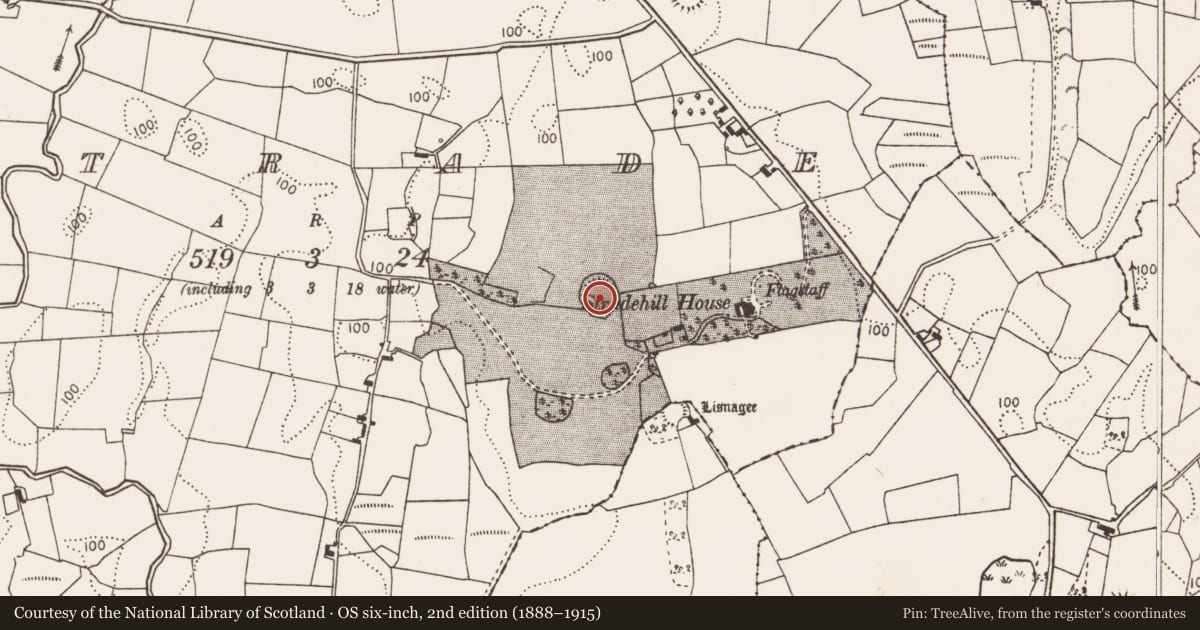 Ordnance Survey six-inch map, 2nd edition (1888–1915) covering the location of Ringfort - rath, Strade, County Mayo, with a pin at the register's coordinates