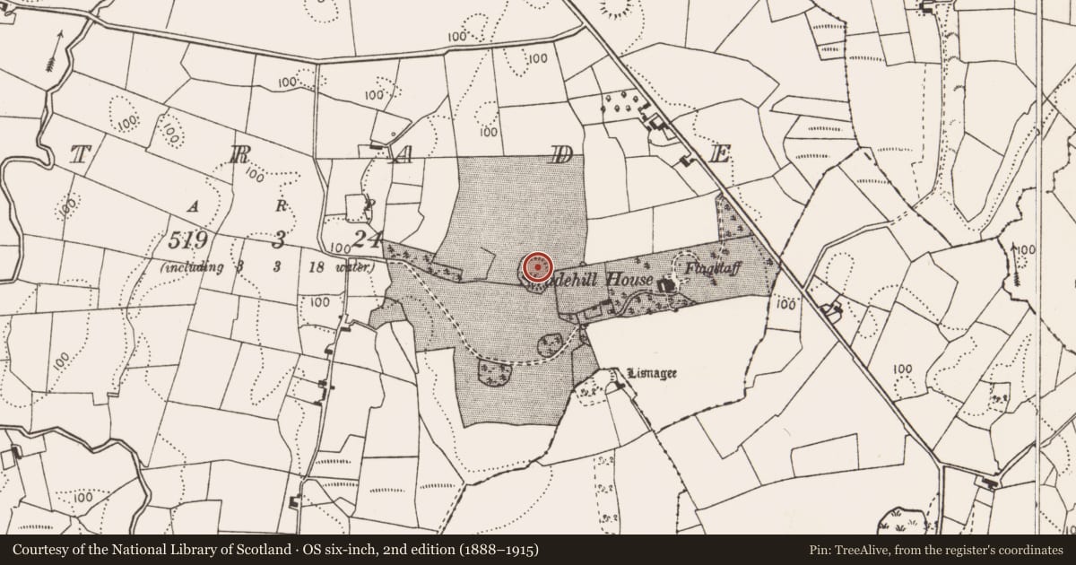 Ordnance Survey six-inch map, 2nd edition (1888–1915) covering the location of Souterrain, Strade, County Mayo, with a pin at the register's coordinates