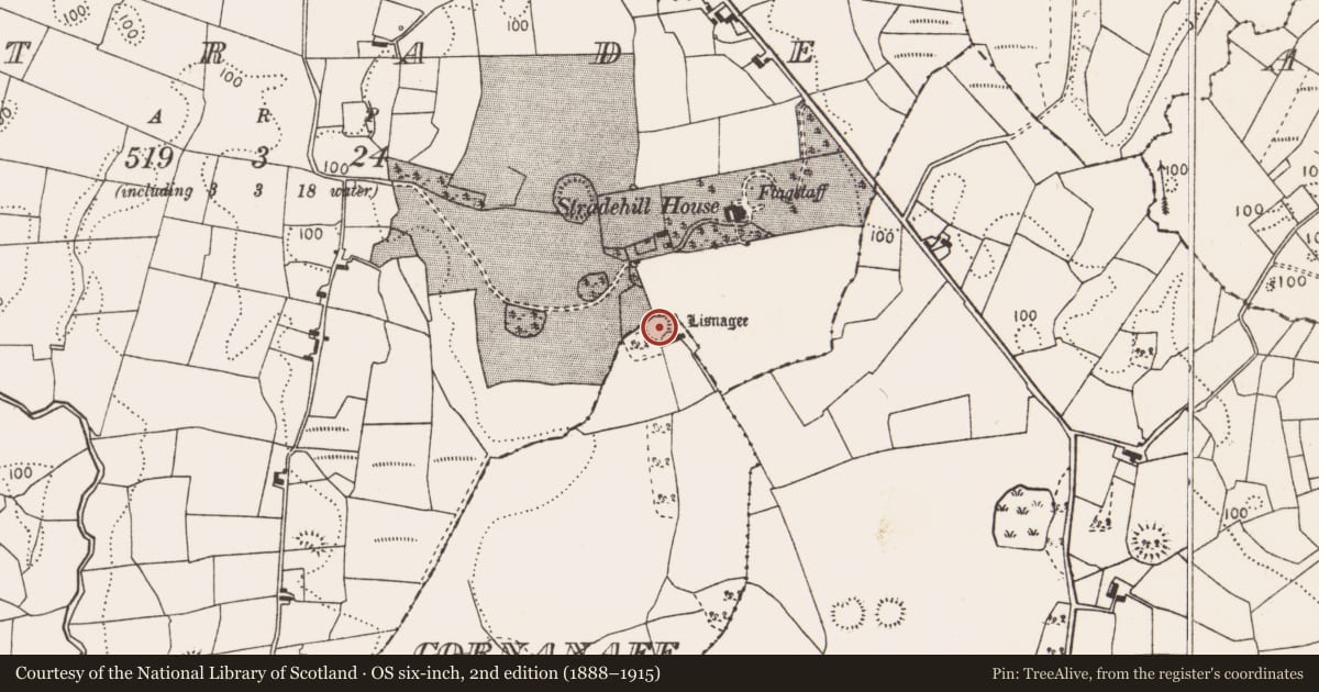Ordnance Survey six-inch map, 2nd edition (1888–1915) covering the location of Ringfort - rath, Strade, Cornanaff, County Mayo, with a pin at the register's coordinates