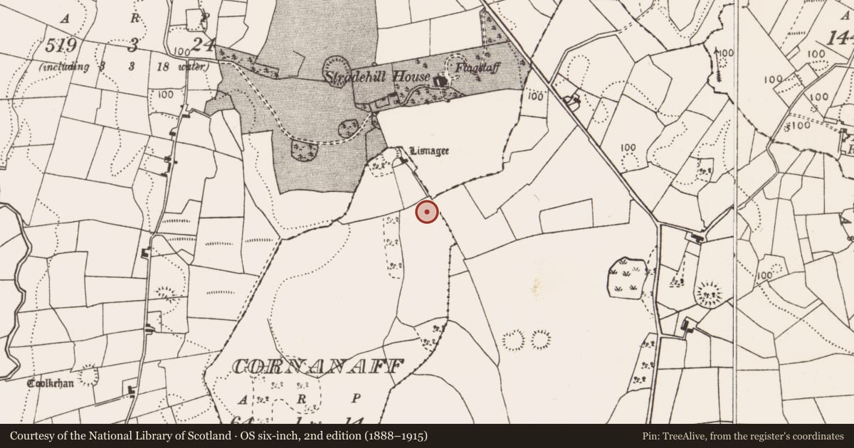 Ordnance Survey six-inch map, 2nd edition (1888–1915) covering the location of Ringfort - rath, County Mayo, with a pin at the register's coordinates