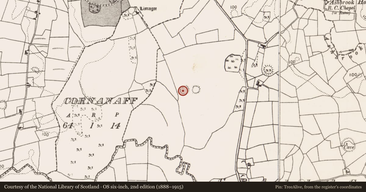 Ordnance Survey six-inch map, 2nd edition (1888–1915) covering the location of Ringfort - rath, Grallagh, County Mayo, with a pin at the register's coordinates