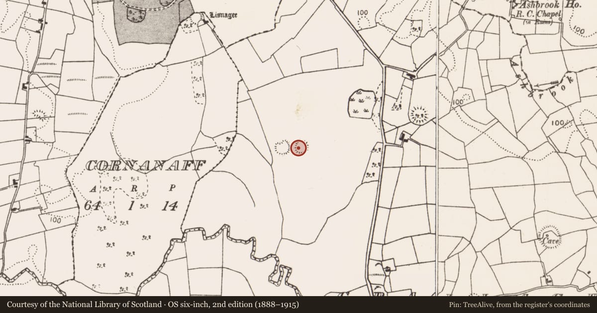 Ordnance Survey six-inch map, 2nd edition (1888–1915) covering the location of Ringfort - rath, Grallagh, County Mayo, with a pin at the register's coordinates