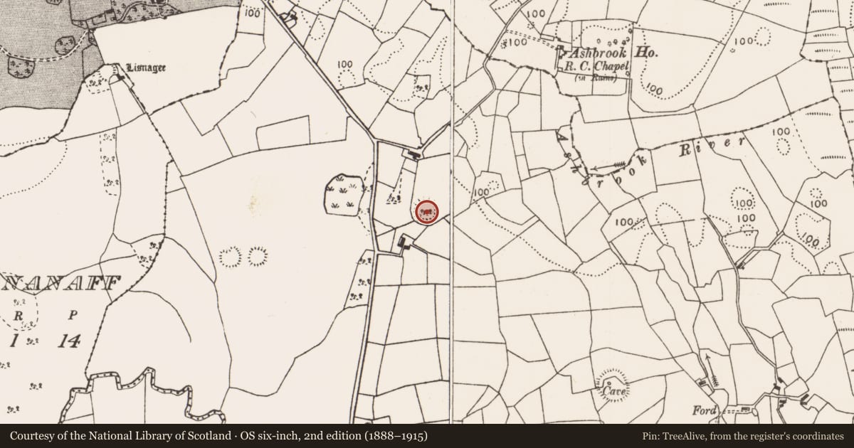 Ordnance Survey six-inch map, 2nd edition (1888–1915) covering the location of Ringfort - rath, Grallagh, County Mayo, with a pin at the register's coordinates