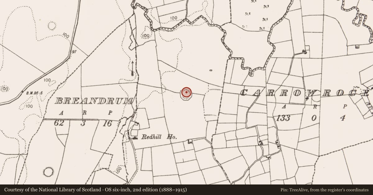 Ordnance Survey six-inch map, 2nd edition (1888–1915) covering the location of Ringfort - rath, Redhill, County Mayo, with a pin at the register's coordinates